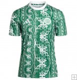 Maillot Pre-match Celtic 2024/25