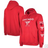 Sudadera con capucha Chicago Bulls 2024 - City