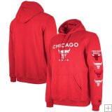 Felpa con cappuccio Chicago Bulls 2024 - City