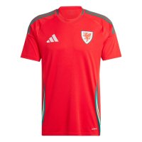 Maillot Pays de Galles Domicile 2024