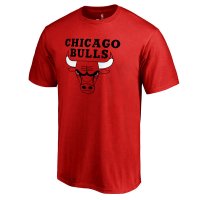 Camiseta Chicago Bulls