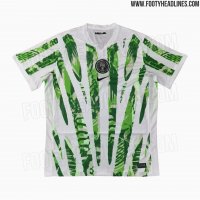 Maillot Domicile Nigéria Féminin 2025 (Modèle Homme)