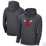 Sudadera con capucha Chicago Bulls