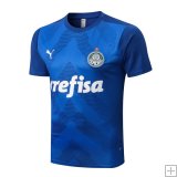 Camiseta Entrenamiento Palmeiras 2022/23