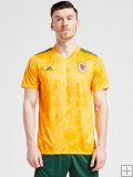 Shirt Wales Away 2020/21