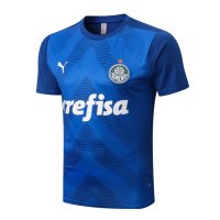 Palmeiras Training Shirt 2022/23