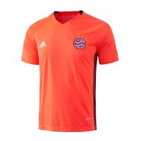 Camiseta Entrenamiento Bayern Munich 2016/17