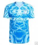 Maillot Tigres Extérieur 2025/26