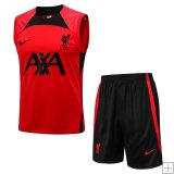 Kit Allenamento Liverpool FC 2022/23