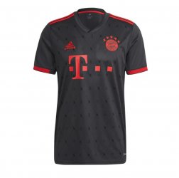 Maglia Bayern Munich Third 2022/23