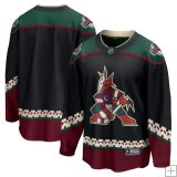 Arizona Coyotes - Home