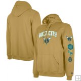 Charlotte Hornets 2024 Pullover Hoodie - City